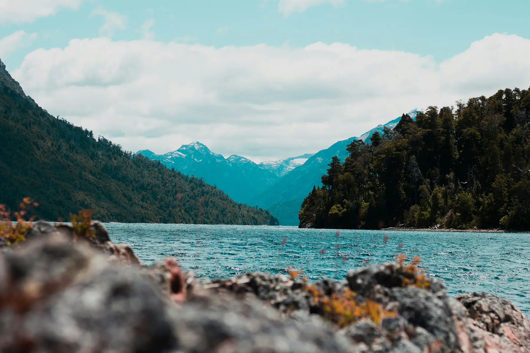 Full-Day Campanario & Lago Moreno Horseback Ride tour with Cabalgatas Bariloche in Patagonia