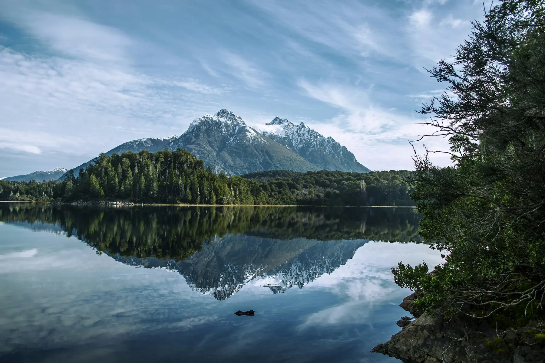 Dense Valdivian rainforest along the shores of Lago Gutierrez.