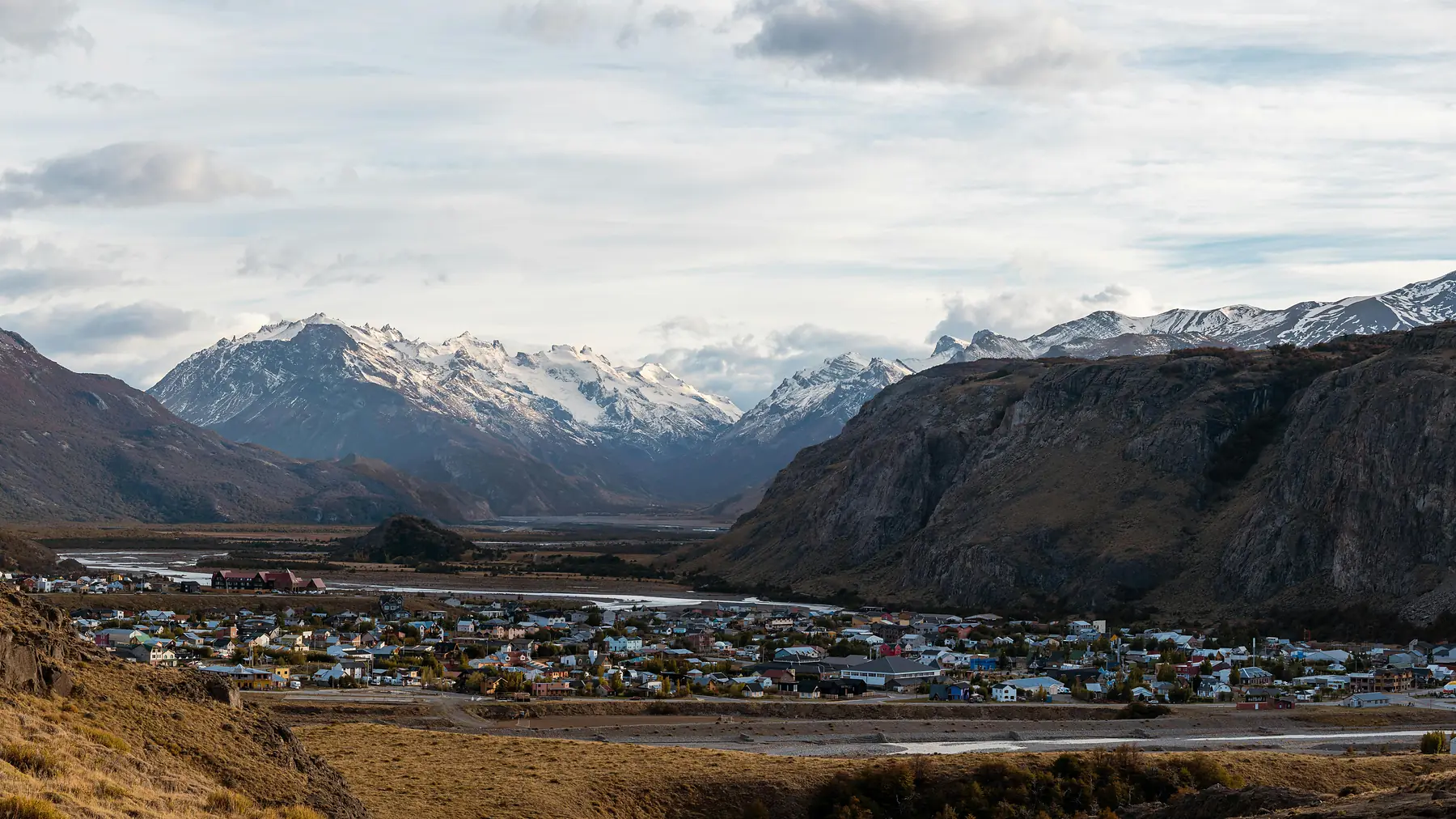 Cóndor de los Andes in Patagonia
