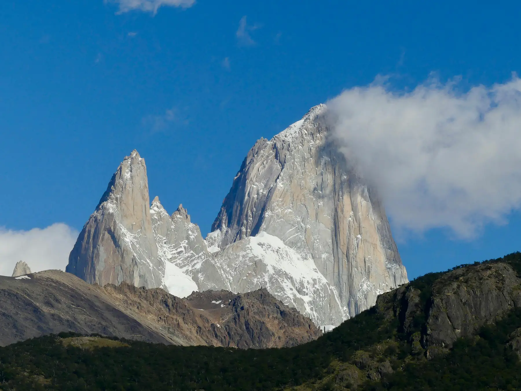 Patagonian estancia landscape with grazing animals near El Chaltén