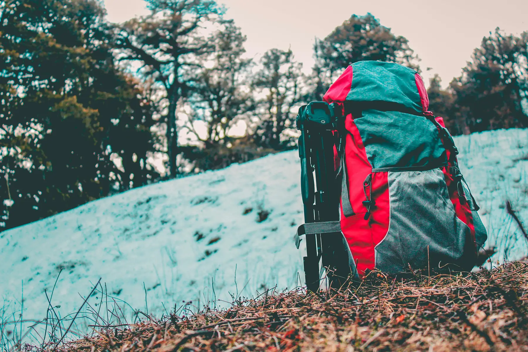 W Trek packing