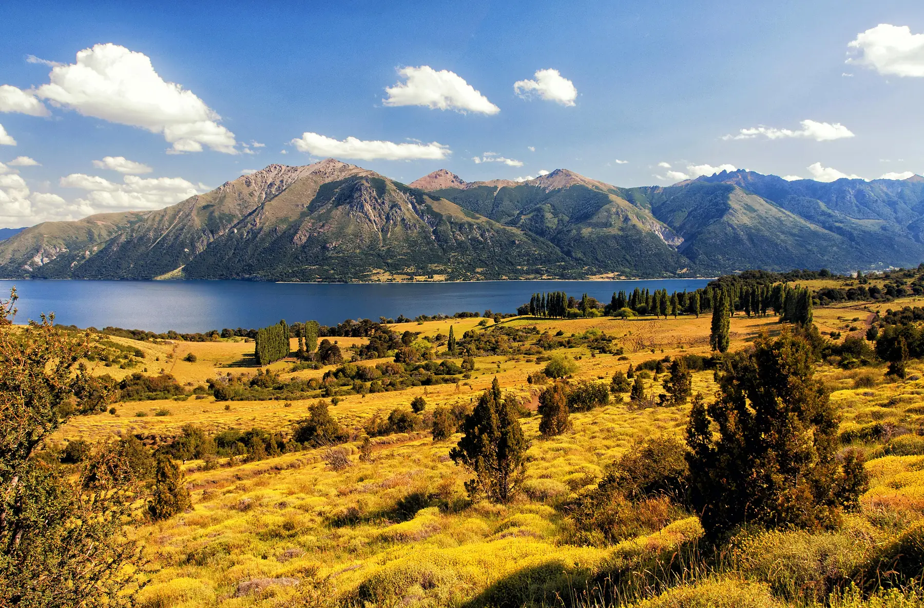 A winding trail disappearing into the Patagonian wilderness.