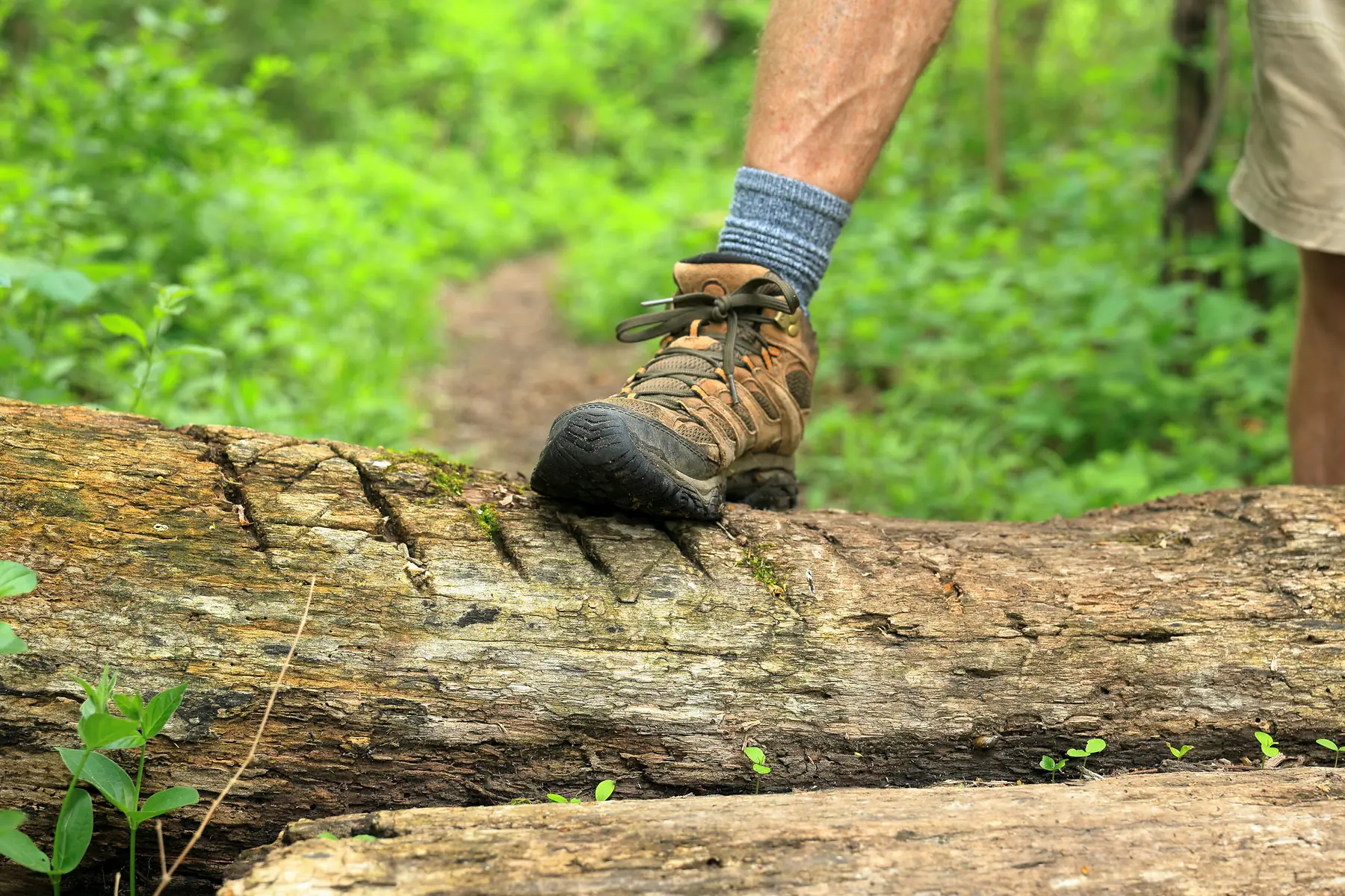 Durable hiking boots ready for the O Circuit trail