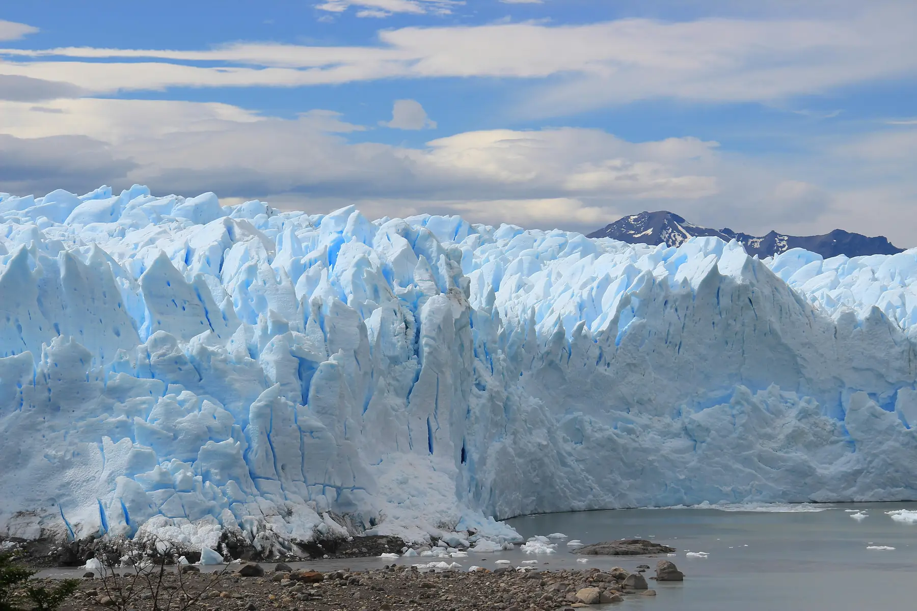 Glaciares Gourmet Premium Salon tour with MarPatag in Patagonia