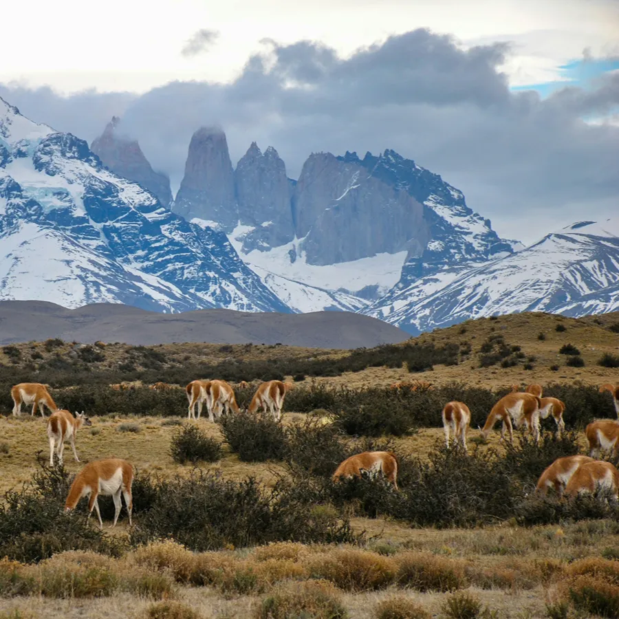 The O Circuit in Torres del Paine