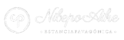 Estancia Nibepo Aike accommodation