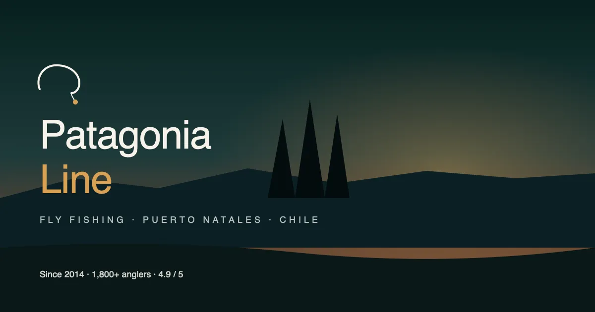 Full-Day Private Fly Fishing tour with Patagonia Line in Patagonia