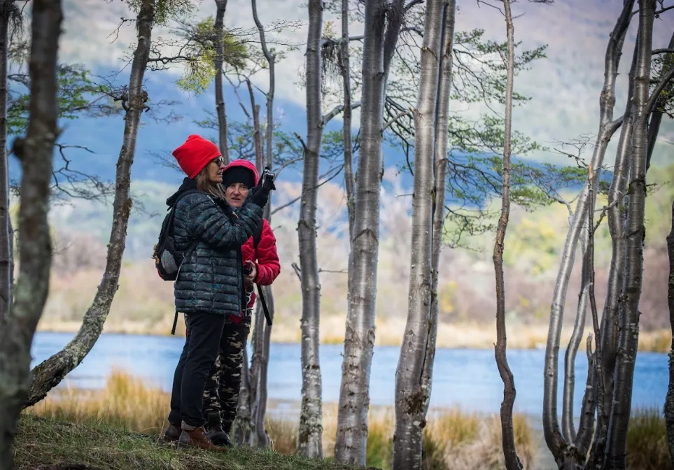 Classic Tierra del Fuego National Park tour with Tolkeyen Patagonia in Patagonia